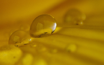 ¿Qué son las plantas de ciclo combinado?