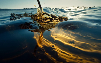 Disposicion final de aceites usados y control de fugas