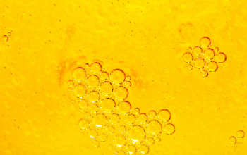 La mejor lubricación en turbinas y generadores