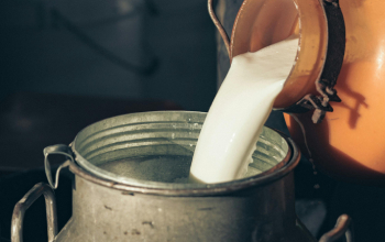 Clasificación de lubricantes alimentarios